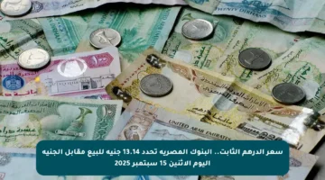 سعر الدرهم الثابت.. البنوك المصرية تحدد 13.14 جنيه للبيع مقابل الجنيه اليوم الاثنين 15 سبتمبر 2025